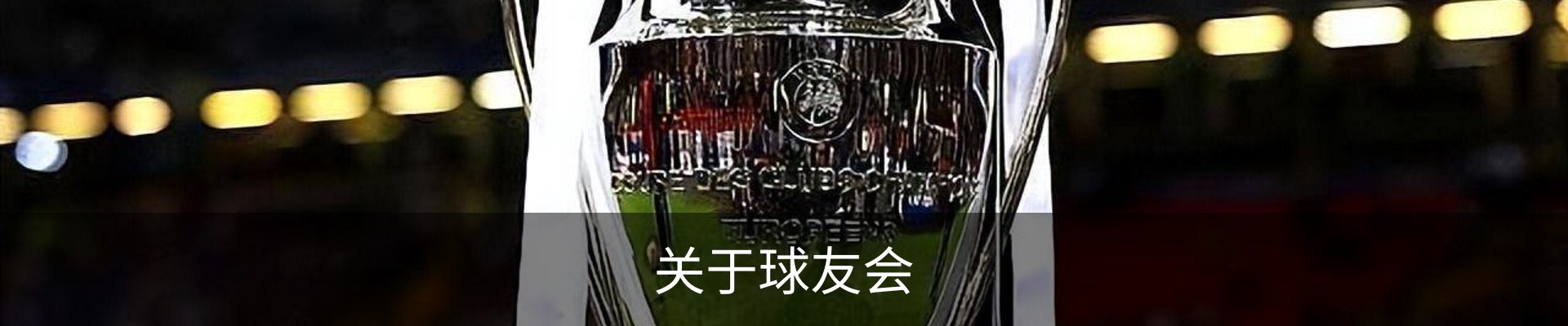关于球友会